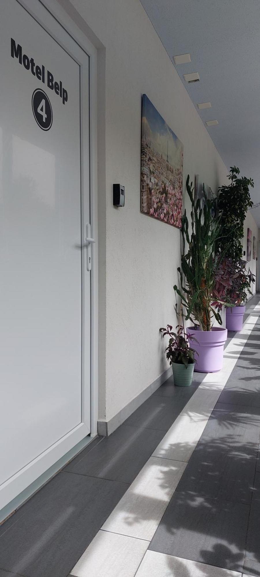 Hotel Belp Bern Airport Free Parking Exterior photo